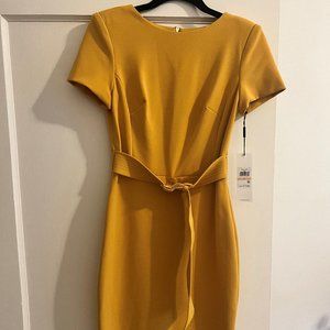 NWT Calvin Klein Sheath Dress Sz 2
